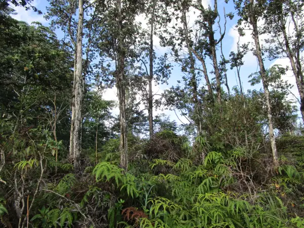 36th Ave, Kurtistown, HI 96760