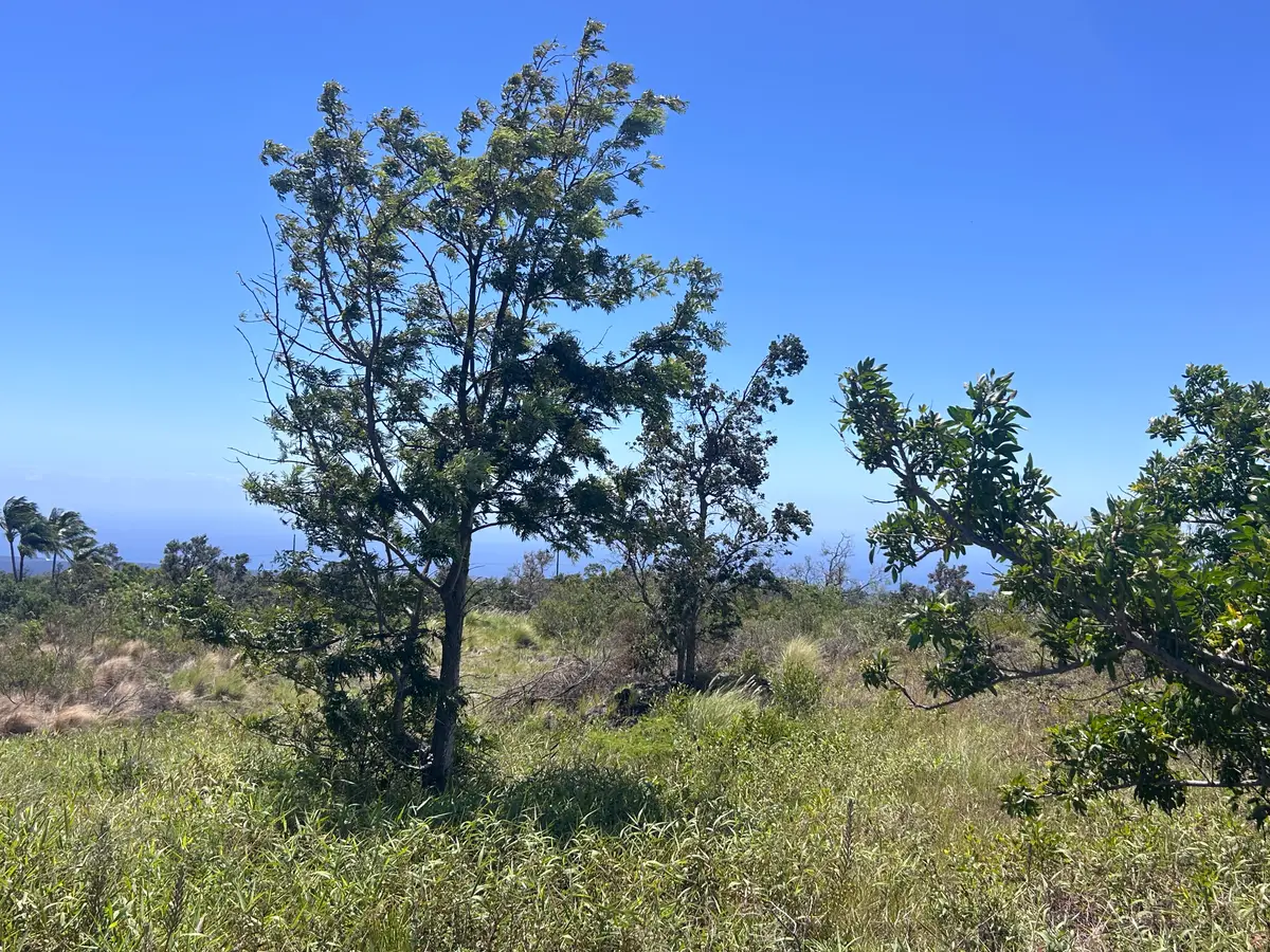 92-8436 King Kamehameha Blvd, Ocean View, HI 96737 - #1