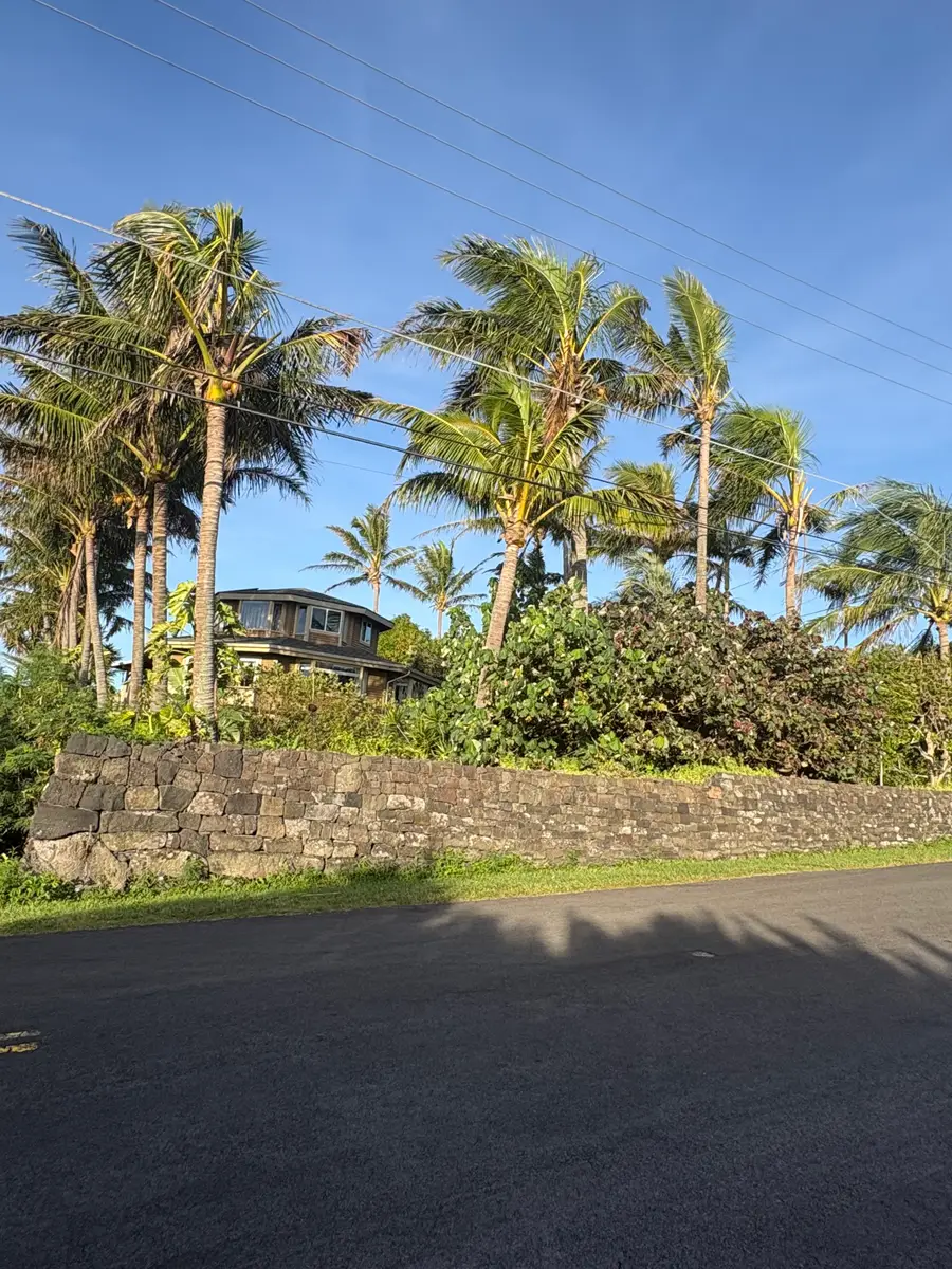 94-1605 Haehae St, Naalehu, HI 96772 - #2