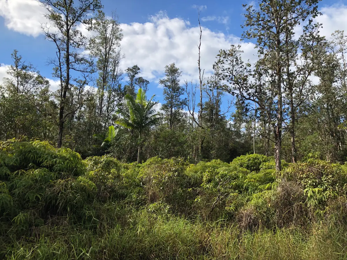 Kokokahi Rd, Mountain View, HI 96771 - #1
