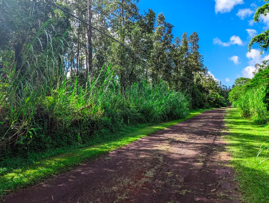 Cook St, Pahoa, HI 96778 - #3