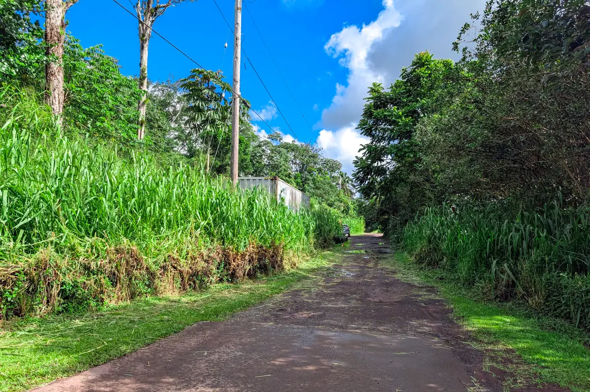 Kalapana St, Pahoa, HI 96778 - #1