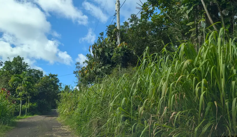 Kalapana St, Pahoa, HI 96778 - #2