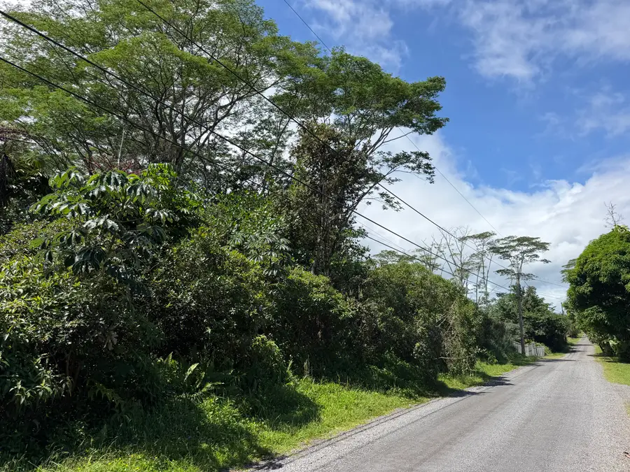 15-1708 11th Ave, Keaau, HI 96749 - #2