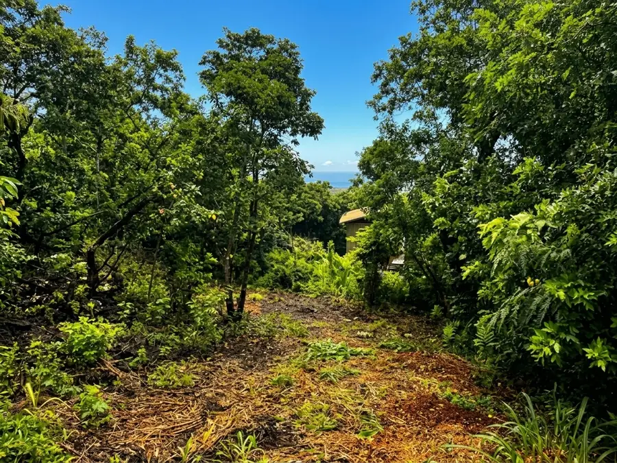 94-6327 Palaoa Rd, Naalehu, HI 96772 - #2