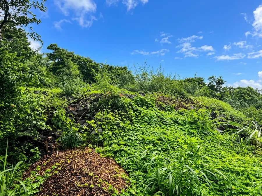 94-6327 Palaoa Rd, Naalehu, HI 96772 - #3