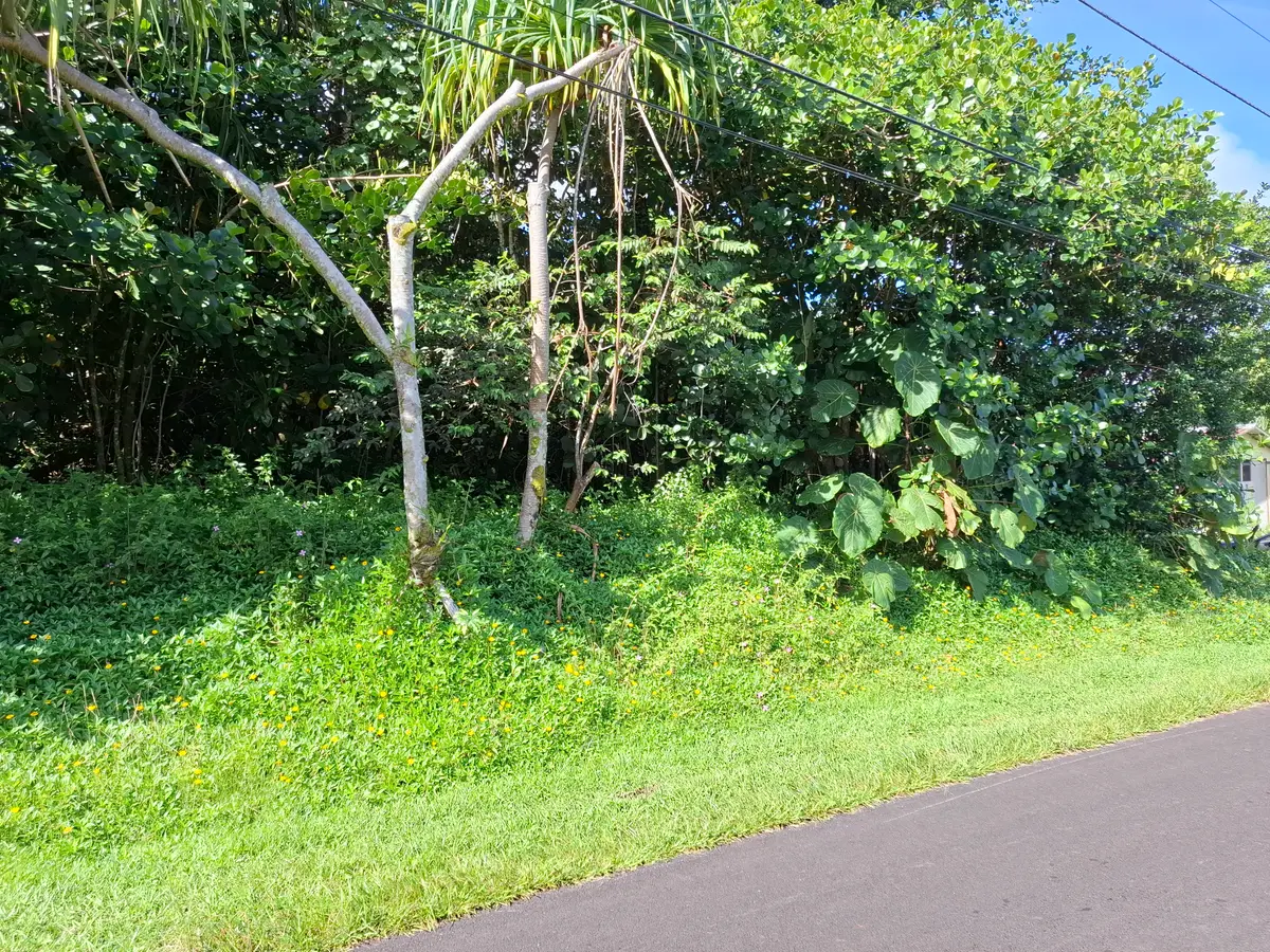 Opae St, Pahoa, HI 96778 - #1