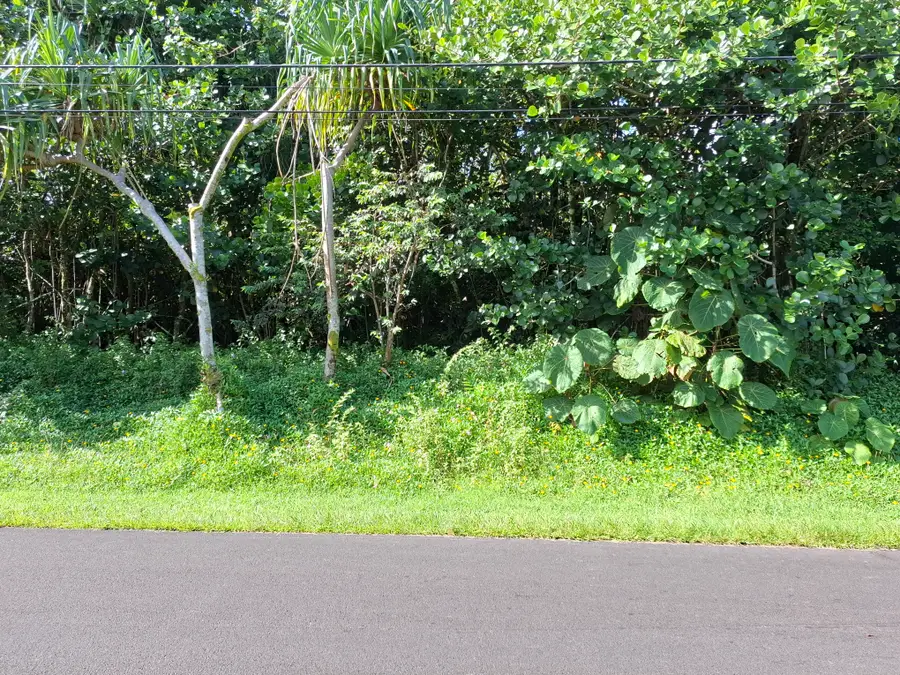 Opae St, Pahoa, HI 96778 - #2