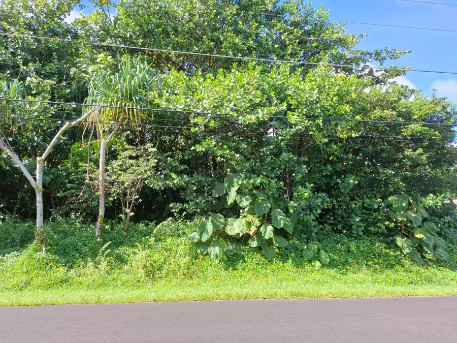 Opae St, Pahoa, HI 96778 - #3