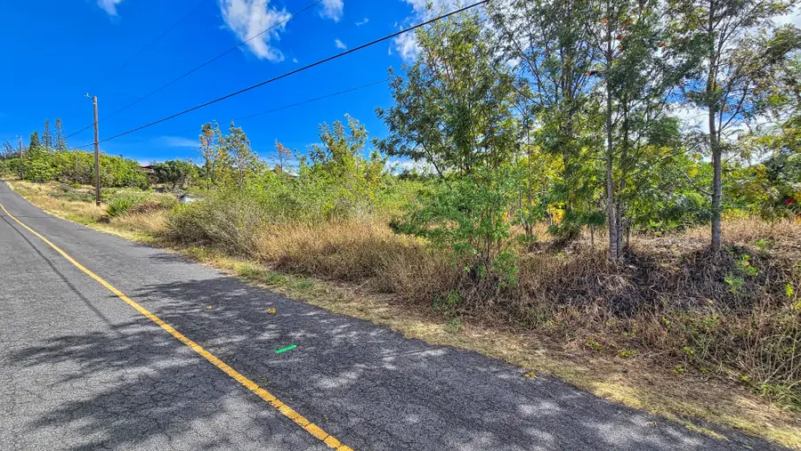 Bamboo Lane, Ocean View, HI 96737 - #3