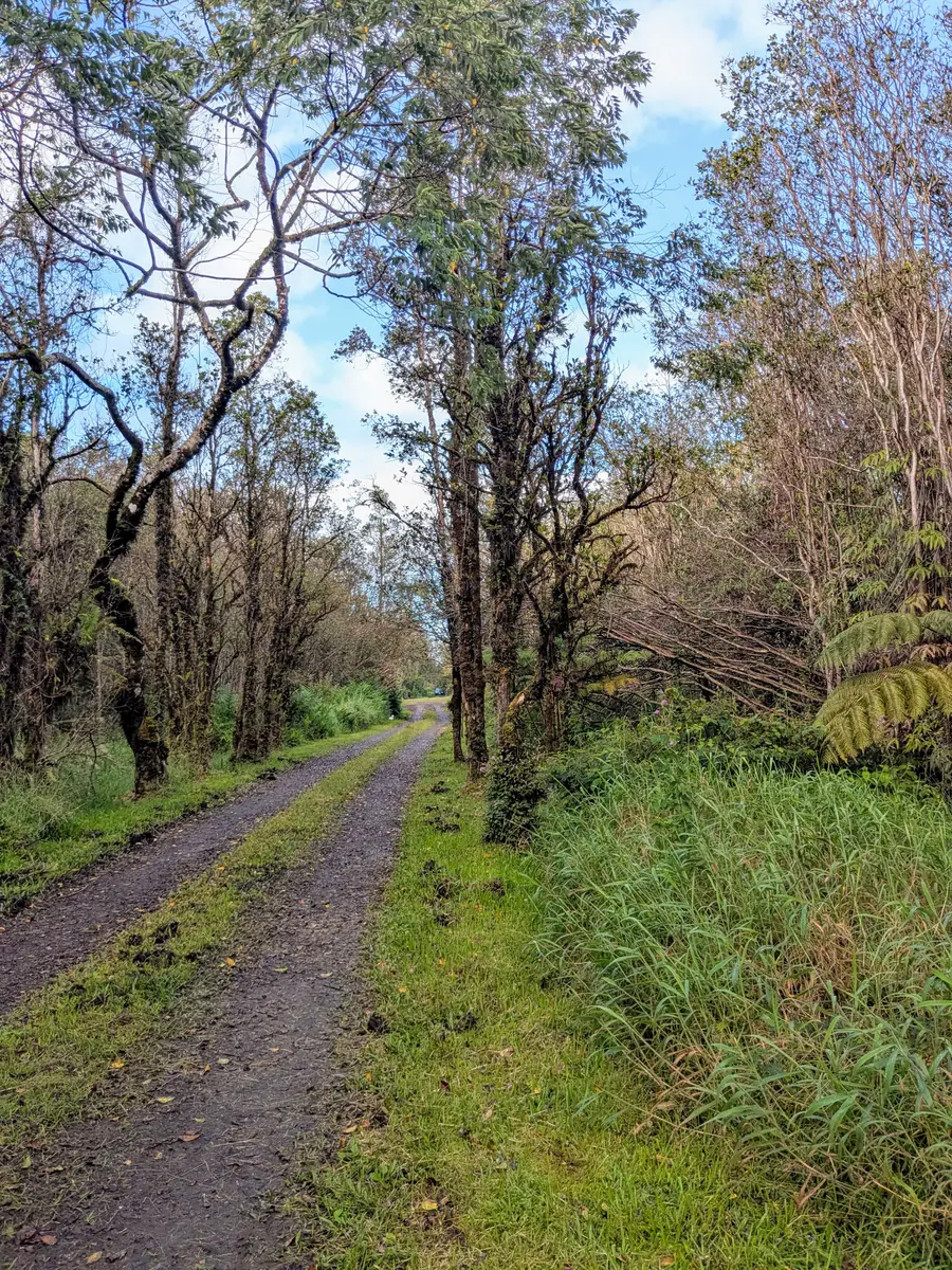 Road 11, Mountain View, HI 96771 - #3