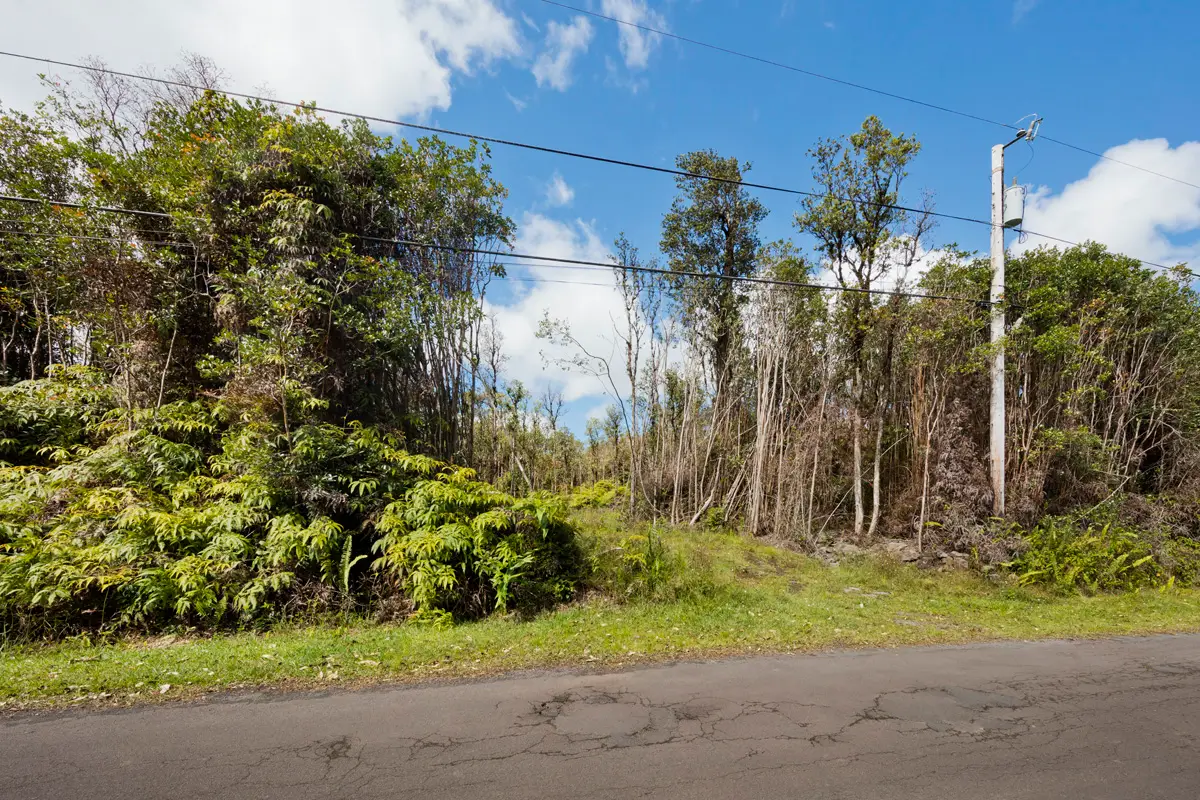 Pikake St, Mountain View, HI 96771 - #1