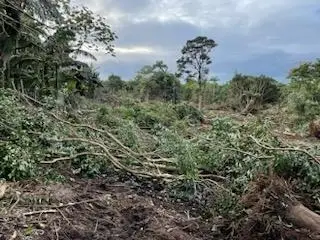 62 Hale Manu Dr, Hilo, HI 96720 - #1
