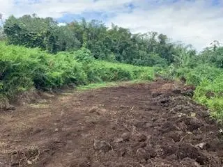 62 Hale Manu Dr, Hilo, HI 96720 - #2