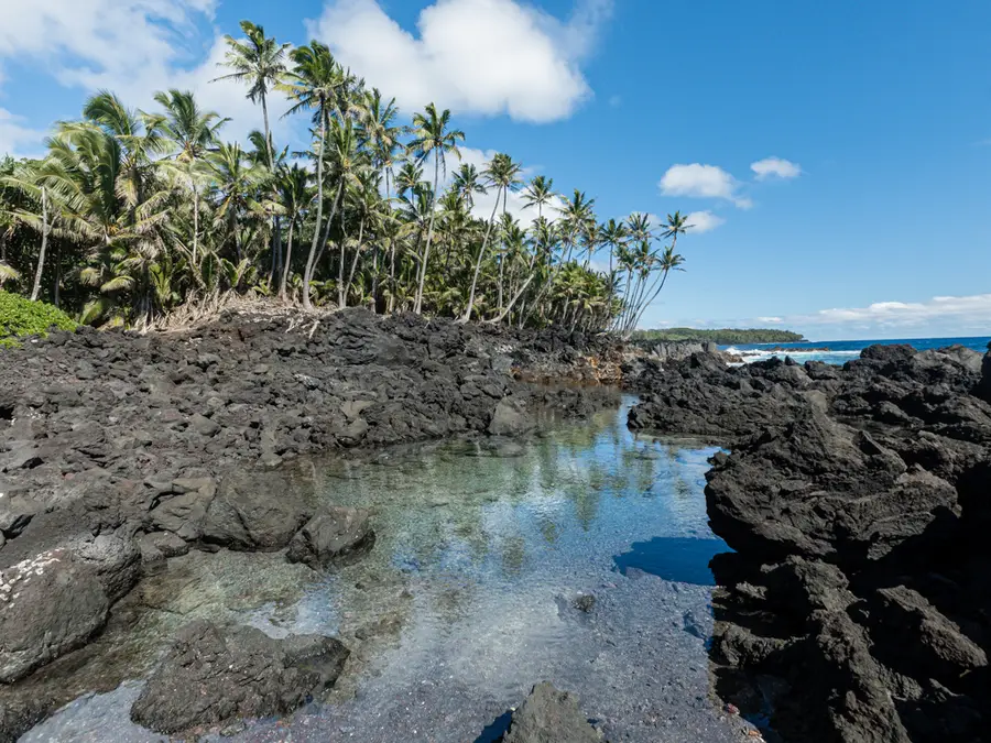 Kapoho Kalapana Rd, Pahoa, HI 96778 - #3