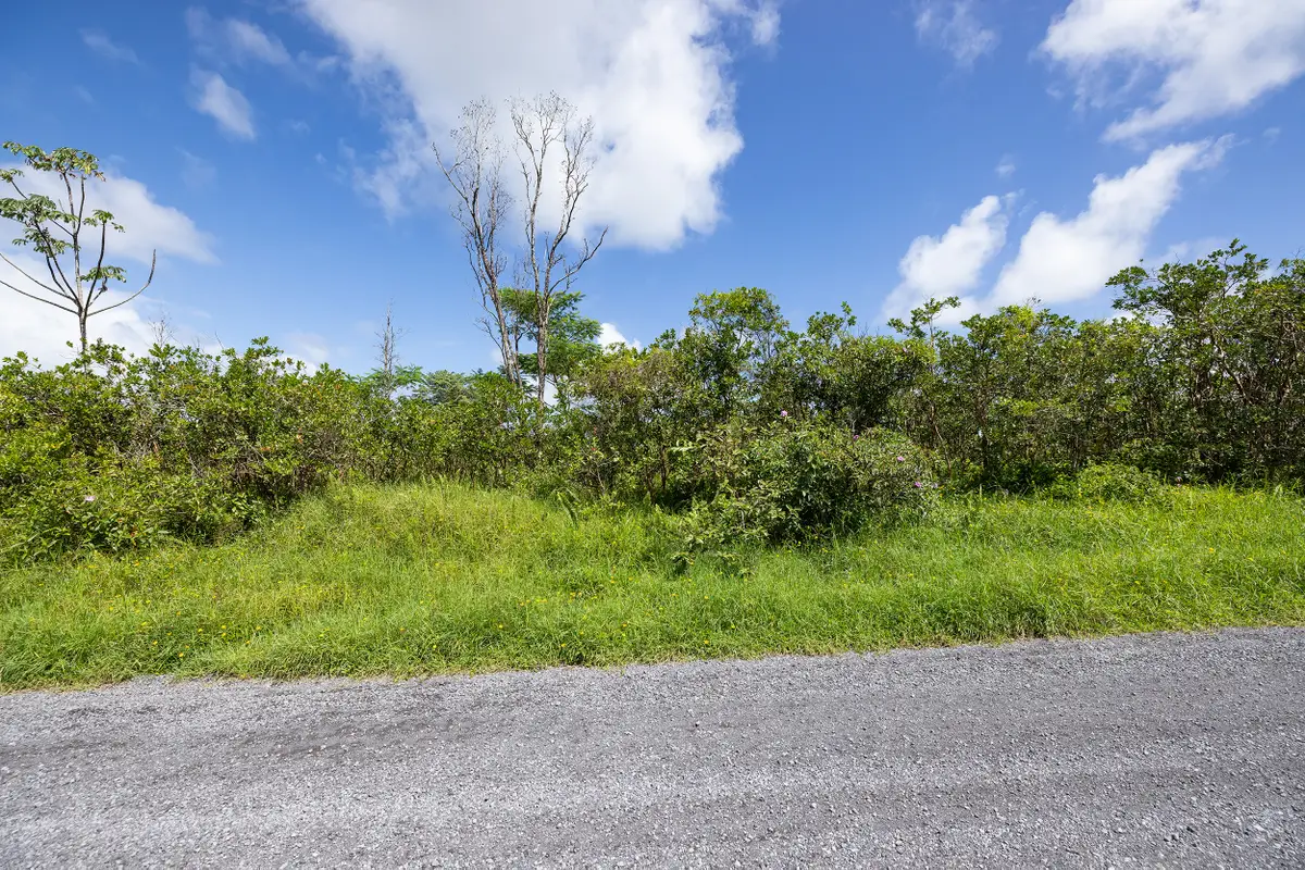 15th Ave, Keaau, HI 96749 - #1