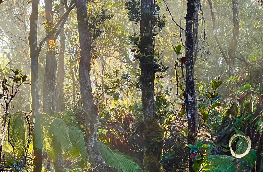 Huakai St, Volcano, HI 96785 - #3