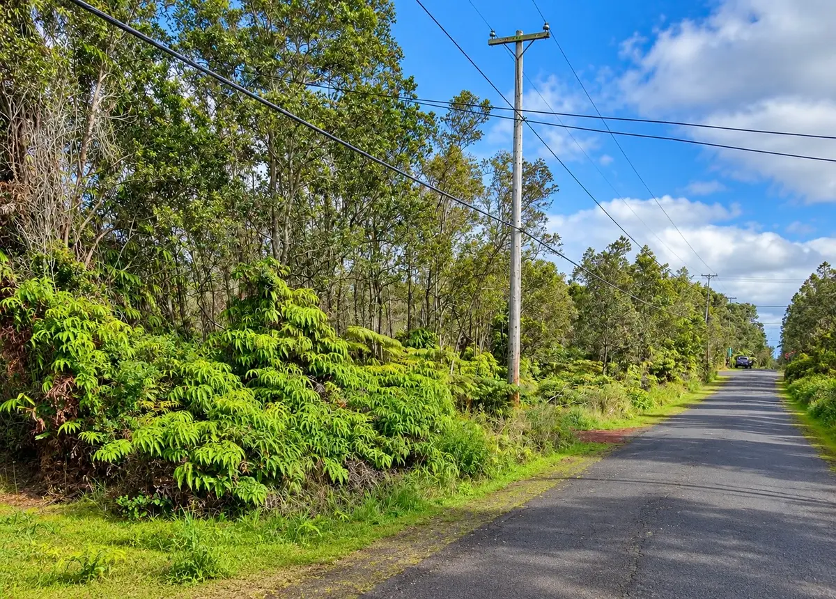 Anuhea St, Volcano, HI 96785 - #1