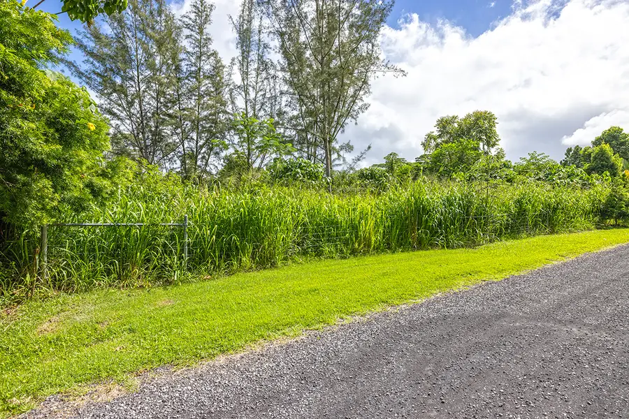 15-1369 19th Ave, Keaau, HI 96749 - #2