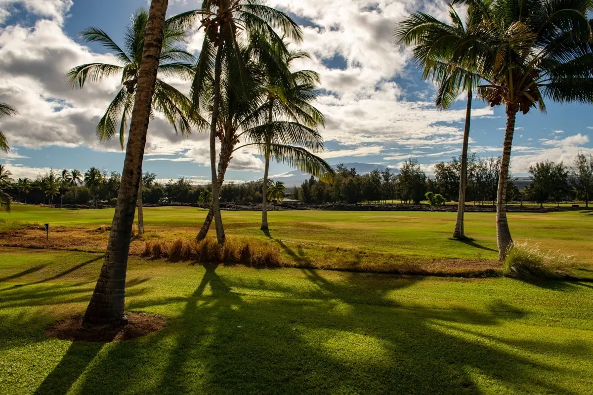 69-200 Pohakulana Pl #C2, Waikoloa, HI 96738 - #1