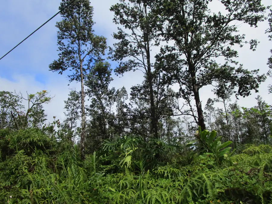 Ala Naulani Rd, Volcano, HI 96785 - #2