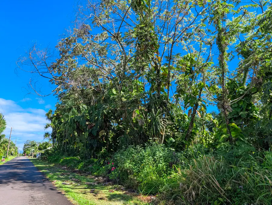 15-2791 Papai St, Pahoa, HI 96778 - #2