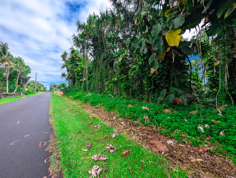 15-2791 Papai St, Pahoa, HI 96778 - #3