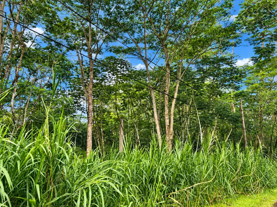 Pikake Rd, Pahoa, HI 96778 - #2