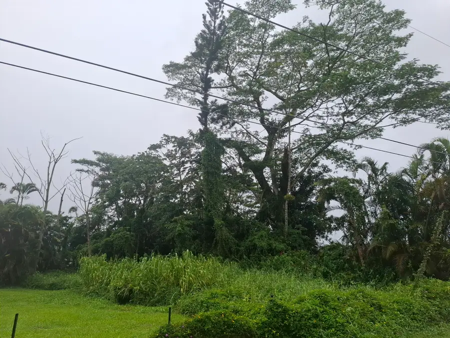 Ginger Ln, Pahoa, HI 96778 - #3