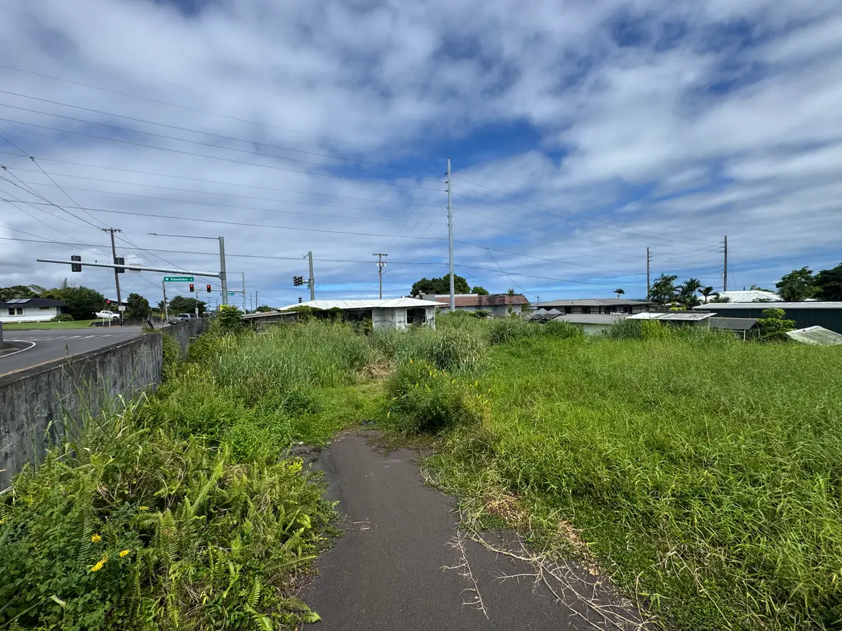 439 Kawailani St, Hilo, HI 96720 - #1