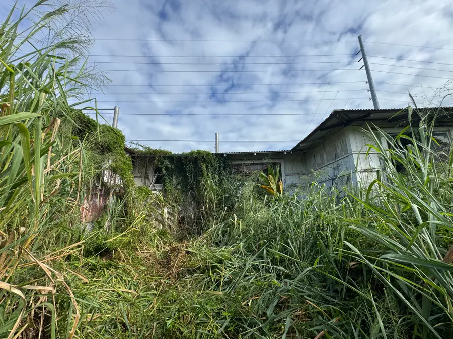 439 Kawailani St, Hilo, HI 96720 - #2