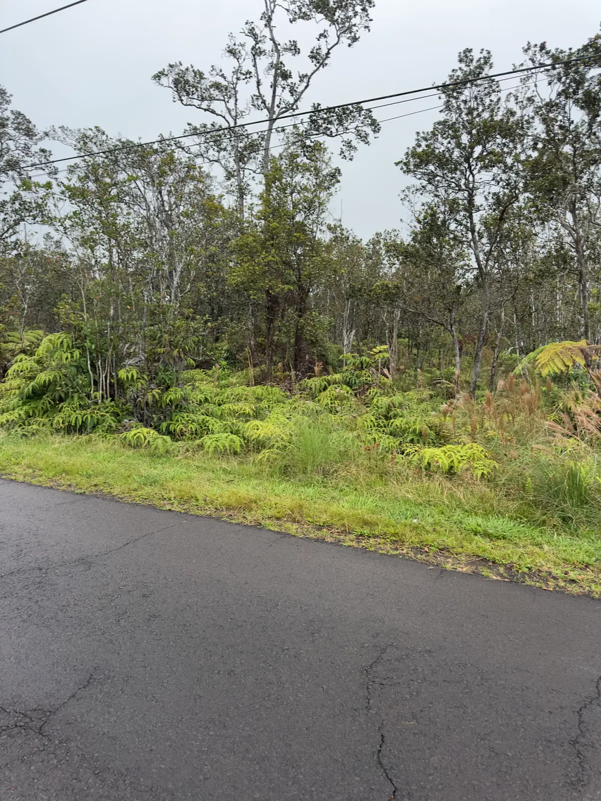 Mokuna St, Volcano, HI 96785 - #1