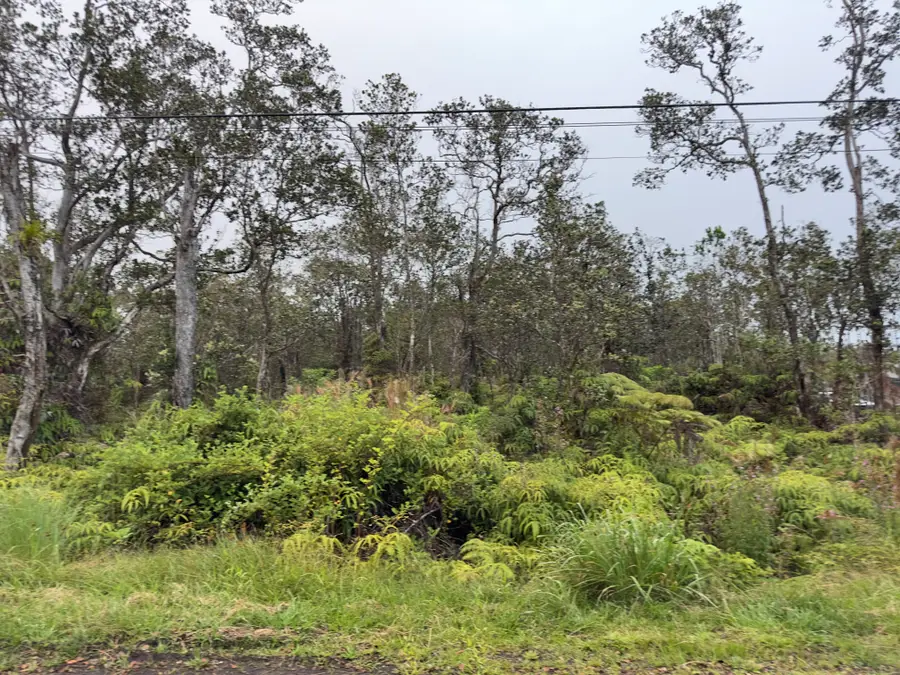 Mokuna St, Volcano, HI 96785 - #2
