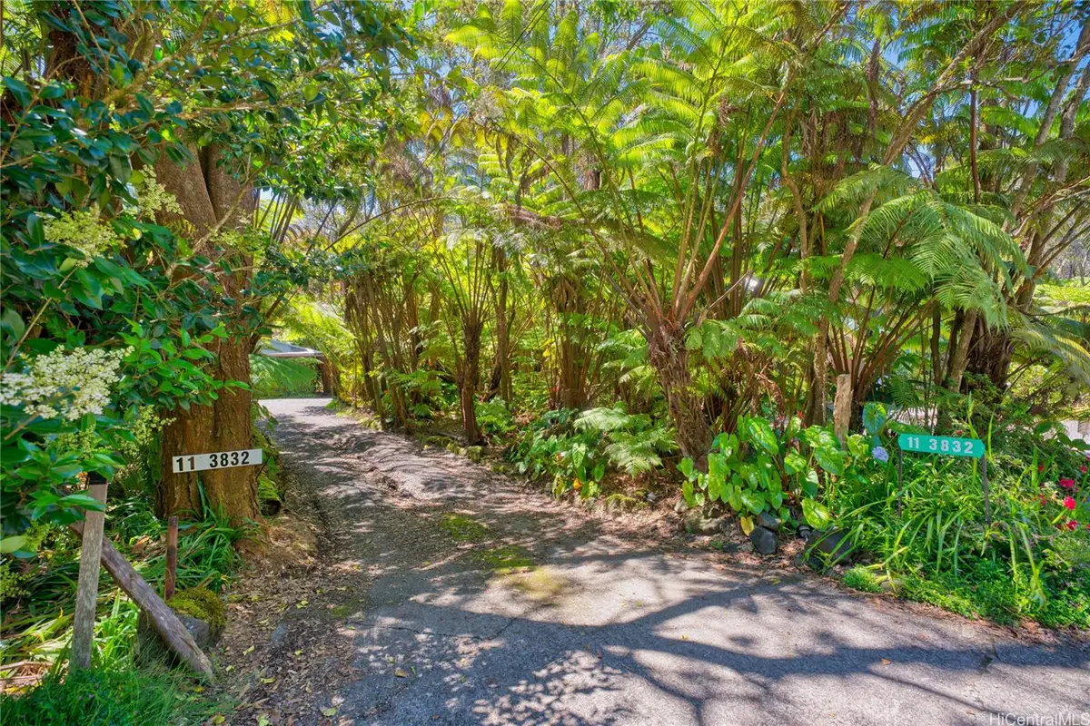 11-3832 2nd St, Volcano, HI 96785 - #1