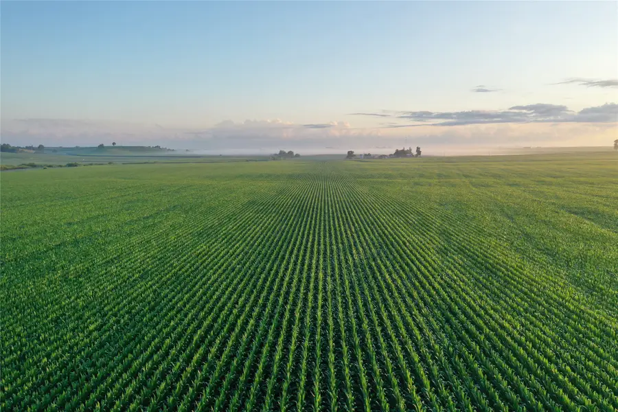 00 75th Street, Blairstown, IA 52209 - Image #2