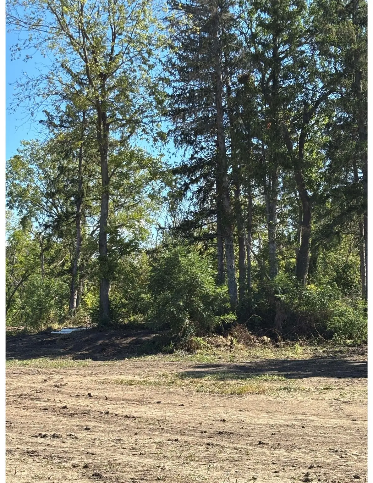 7 NW Creekside Street, Johnston, IA 50131 - Image #1