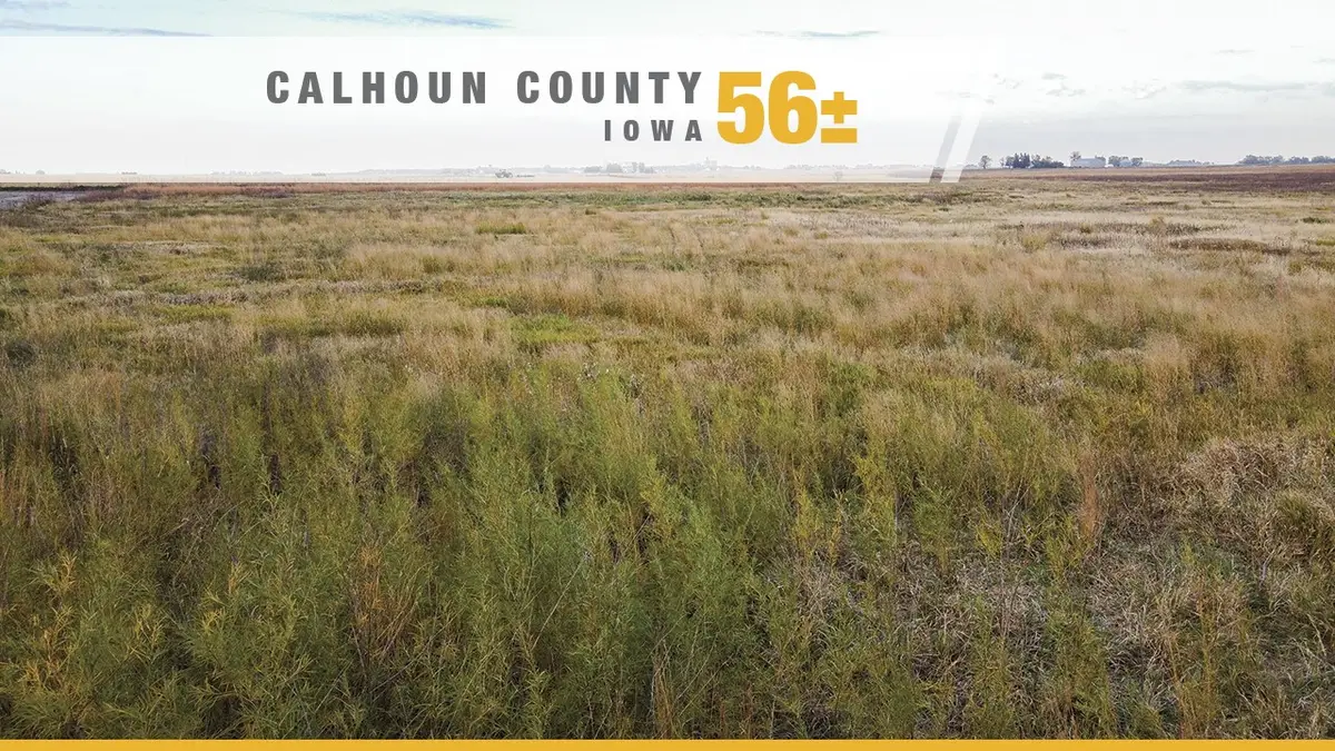 TBD 210th Street, Manson, IA 50563 - Image #1