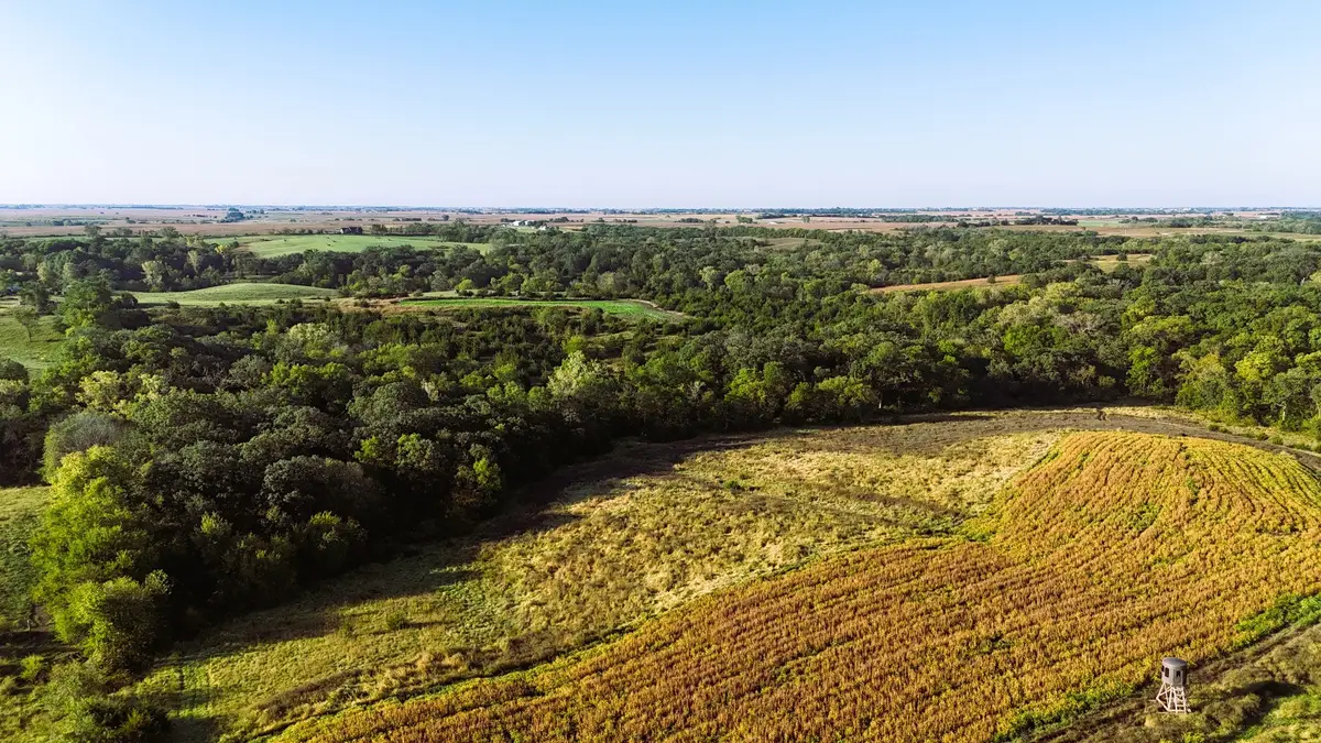 000 270th Avenue, Osceola, IA 50213 - Image #1