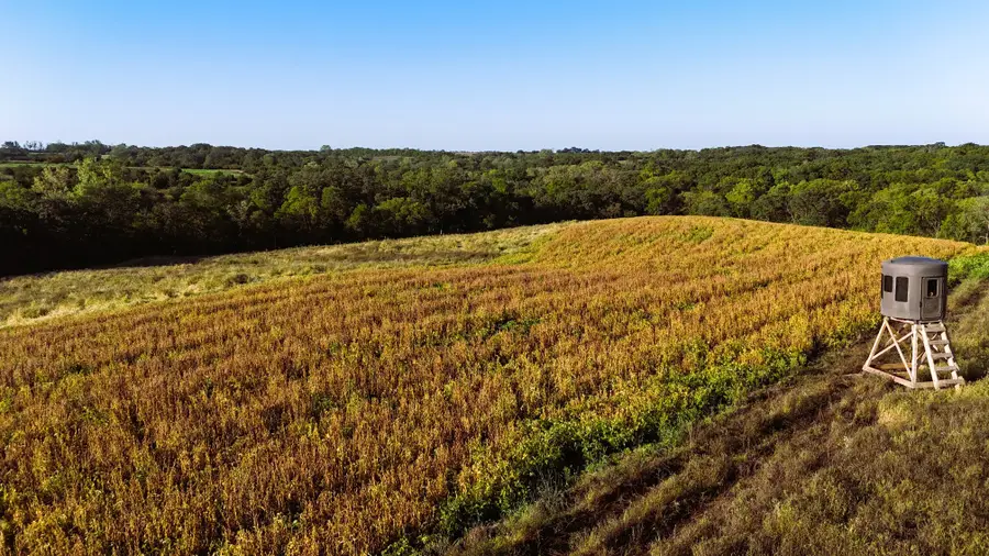 000 270th Avenue, Osceola, IA 50213 - Image #2