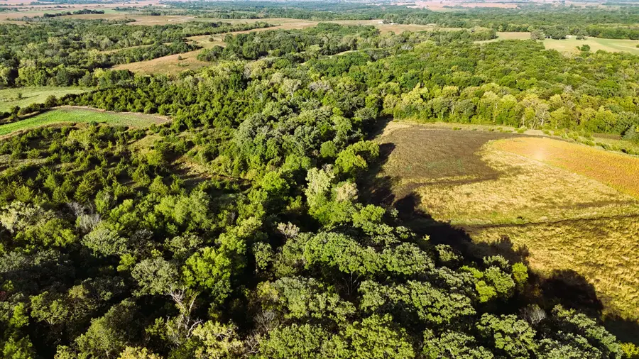 000 270th Avenue, Osceola, IA 50213 - Image #3