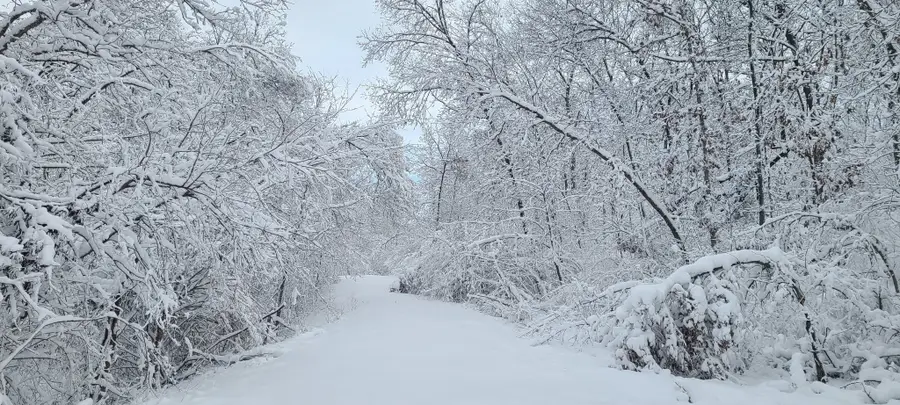 4261 Us Highway 63 Highway, Ottumwa, IA 52501 - #3