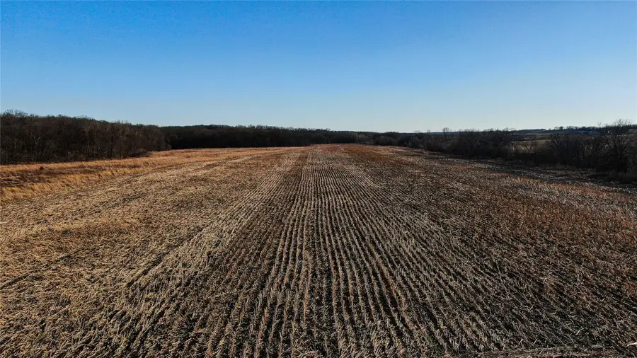 0 230th Street, Garden Grove, IA 50103 - #3