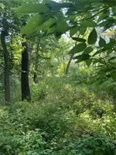 15400 Dubuque Place, Carlisle, IA 50047 - #2