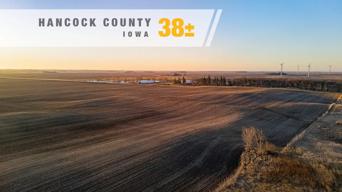 000 140th Street, Belmond, IA 50421 - #1