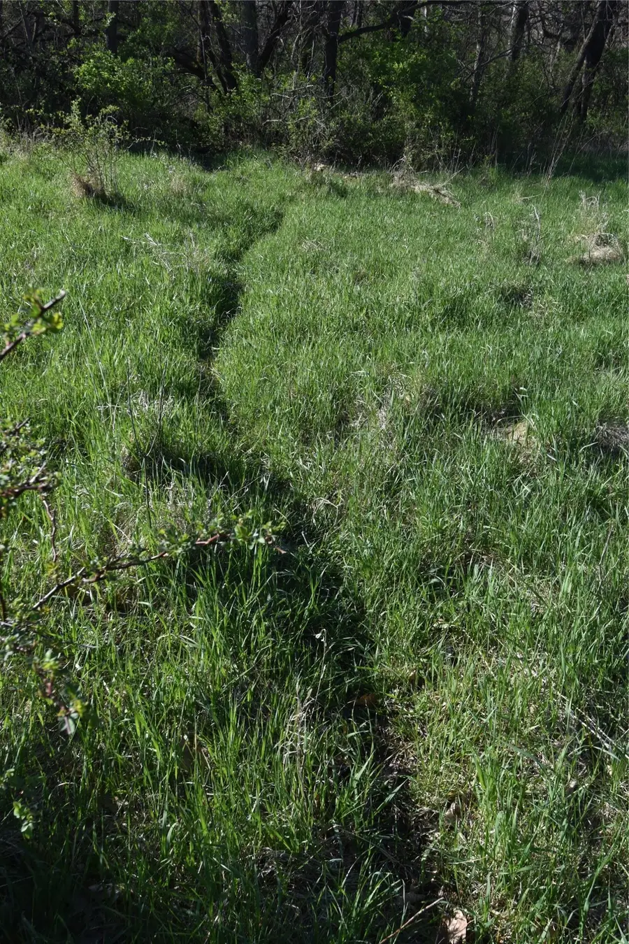 0 233rd Street, Boone, IA 50036 - #3