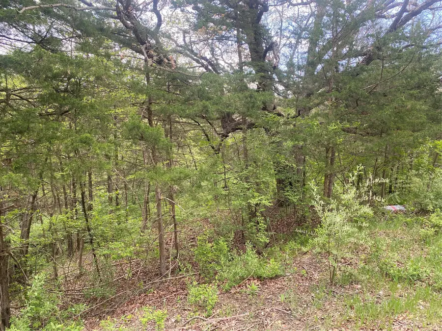 6912 Panorama Road, Panora, IA 50216 - #3