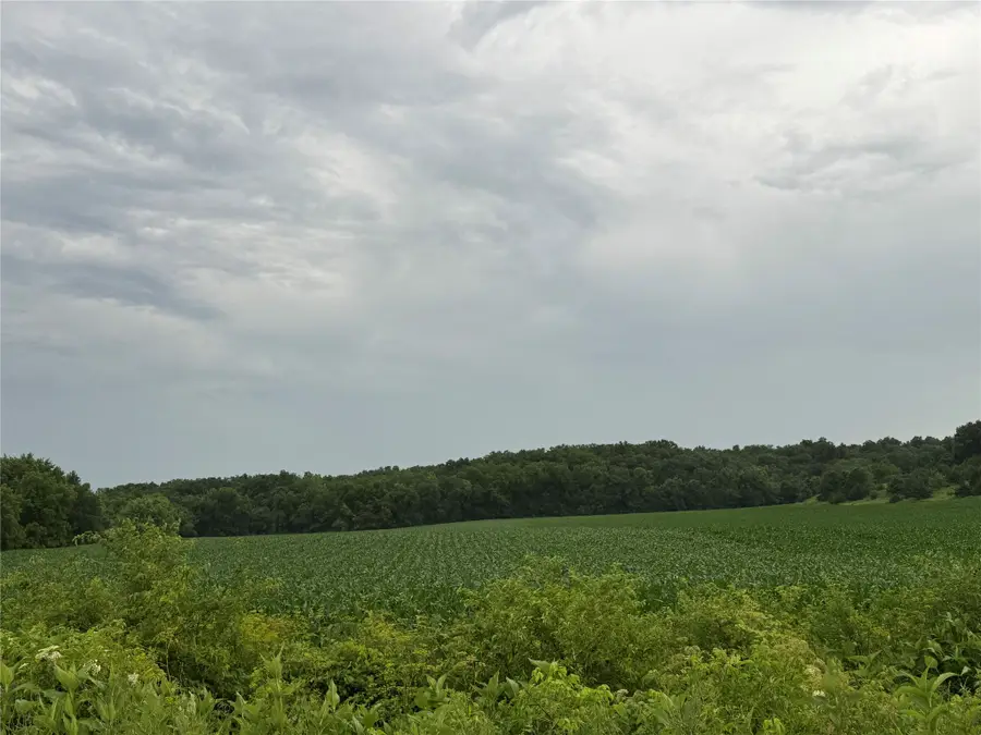 00 205th St And 125th Avenue, Grand River, IA 50144 - #2