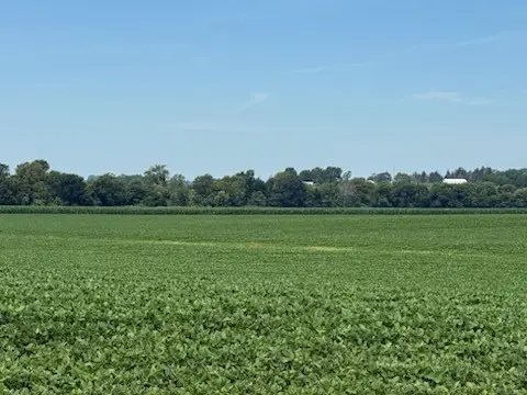 E 152nd Street S, Lynnville, IA 50153 - #2