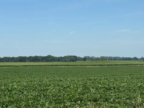 E 152nd Street S, Lynnville, IA 50153 - #3