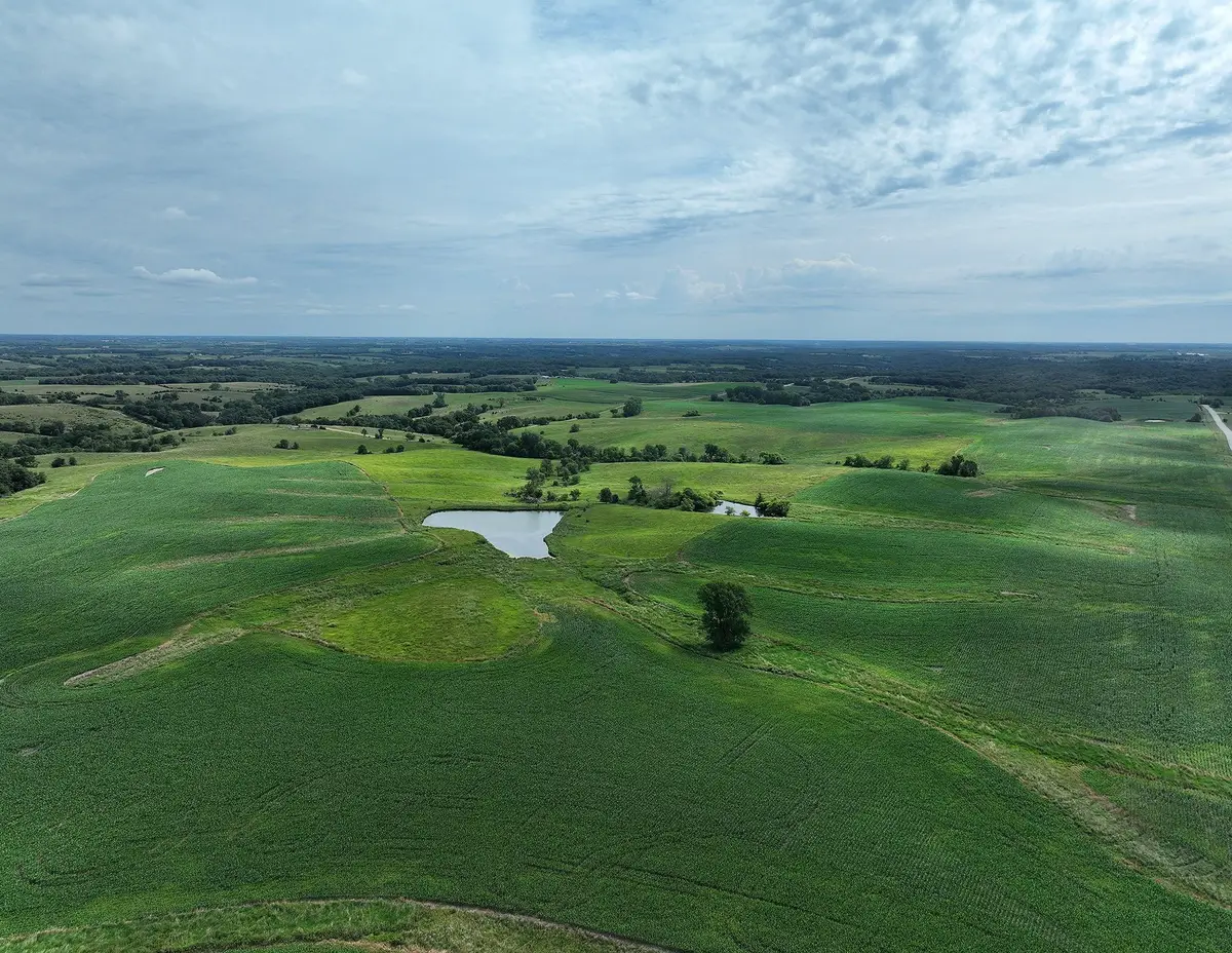 Glover Street, Osceola, IA 50213 - #1
